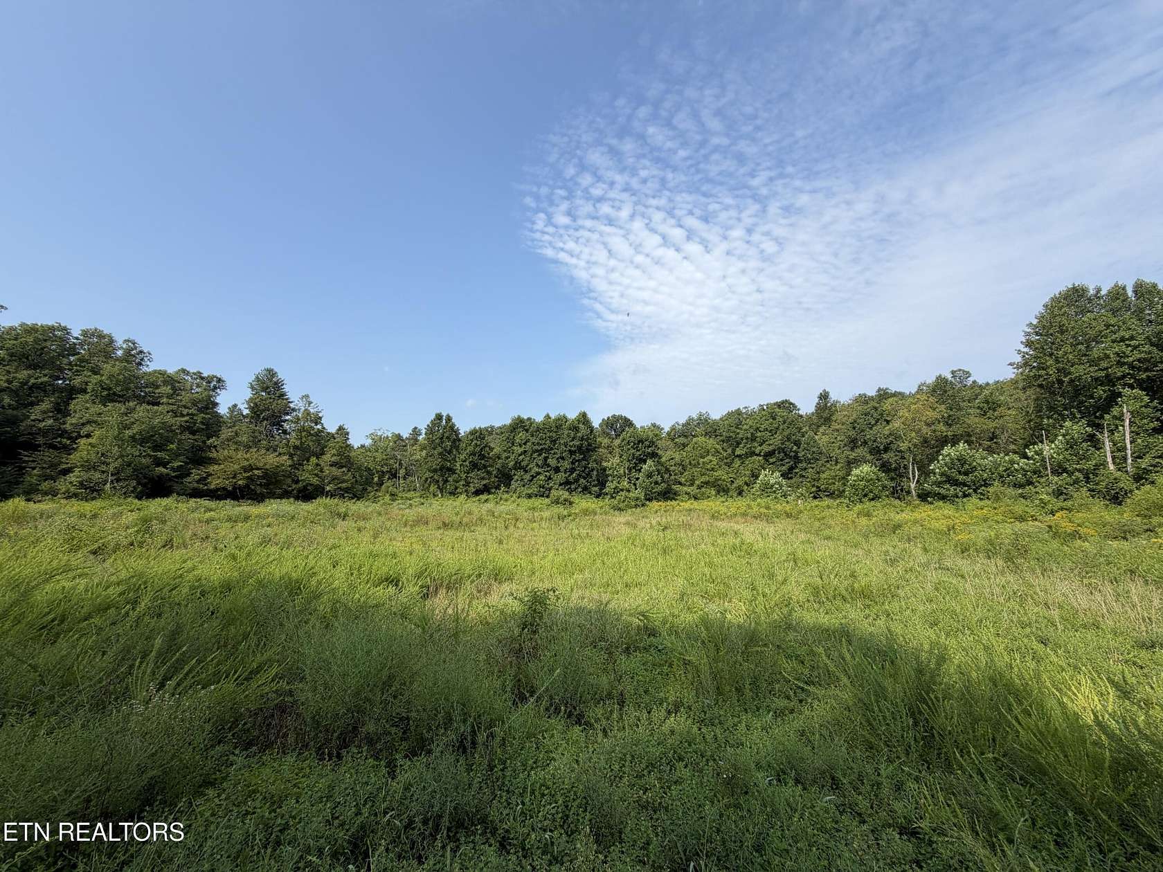 140 Acres of Land for Sale in Robbins, Tennessee