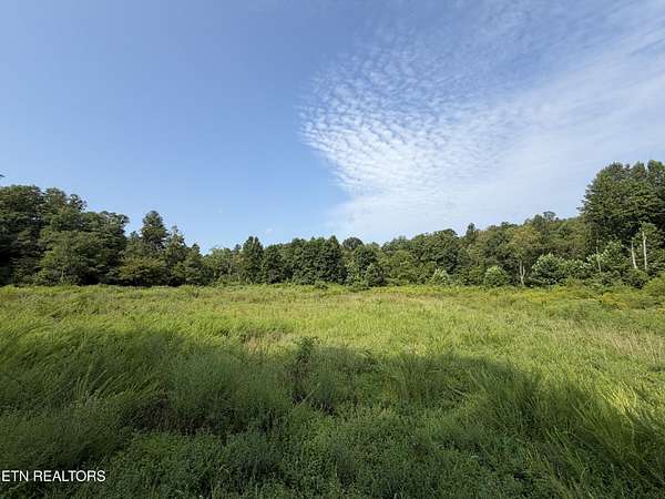 140 Acres of Land for Sale in Robbins, Tennessee
