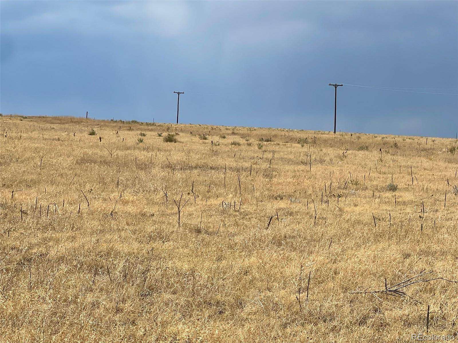 60 Acres of Land for Sale in Simla, Colorado