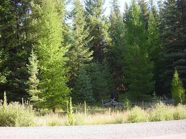 Land for Sale in Libby, Montana