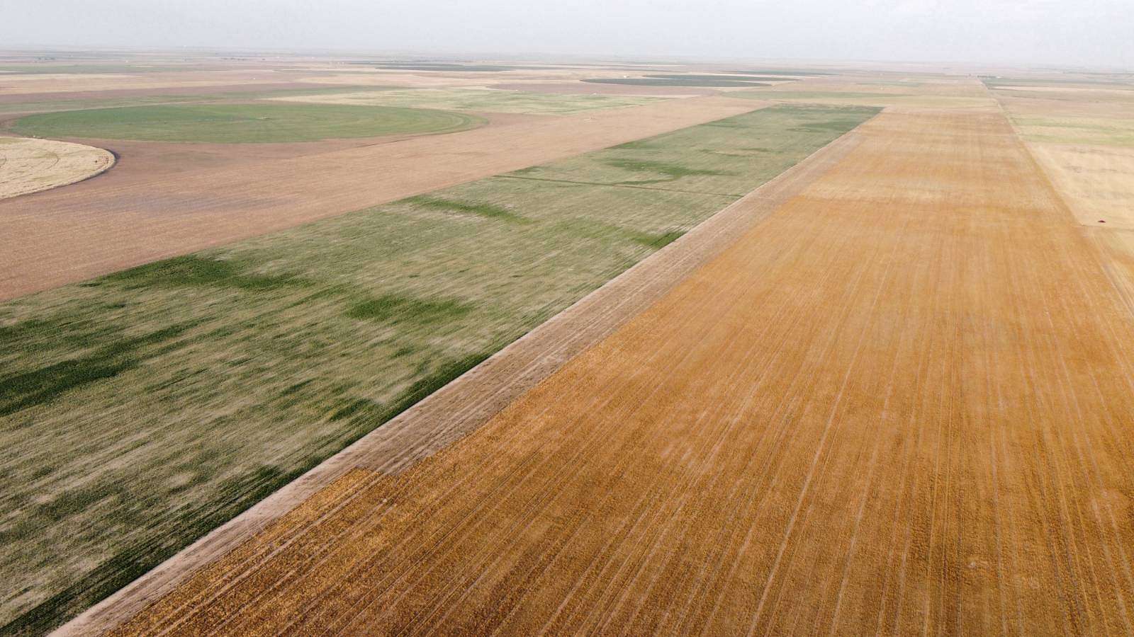 477 Acres of Agricultural Land for Sale in Moscow, Kansas