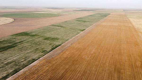 477 Acres of Agricultural Land for Sale in Moscow, Kansas