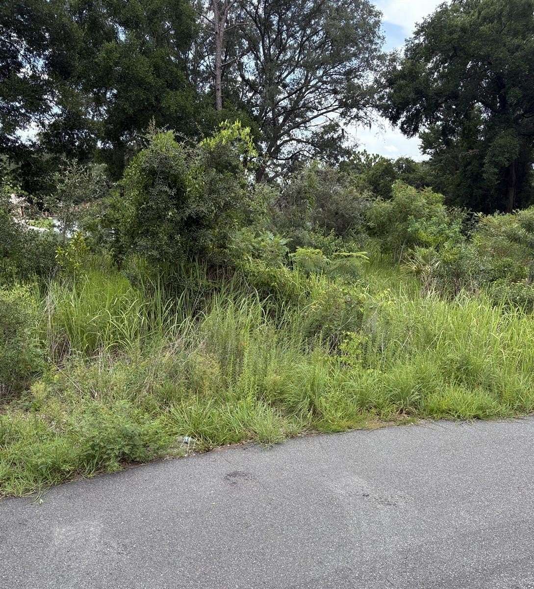 0.53 Acres of Residential Land for Sale in Ocala, Florida