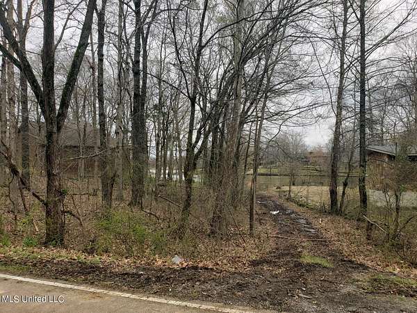 0.53 Acres of Residential Land for Sale in Nesbit, Mississippi