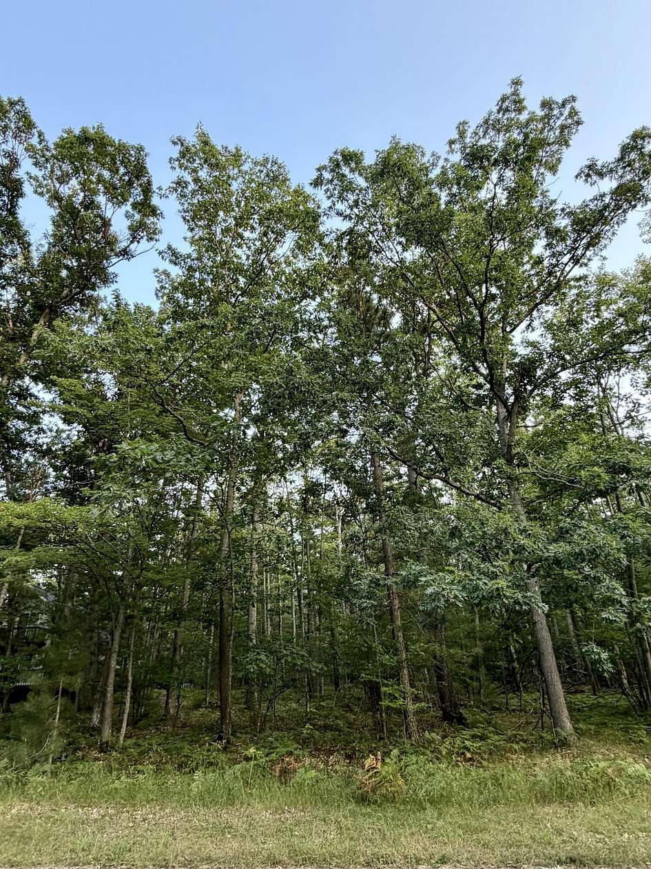 0.58 Acres of Land for Sale in Frederic, Michigan