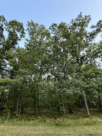 0.58 Acres of Land for Sale in Frederic, Michigan