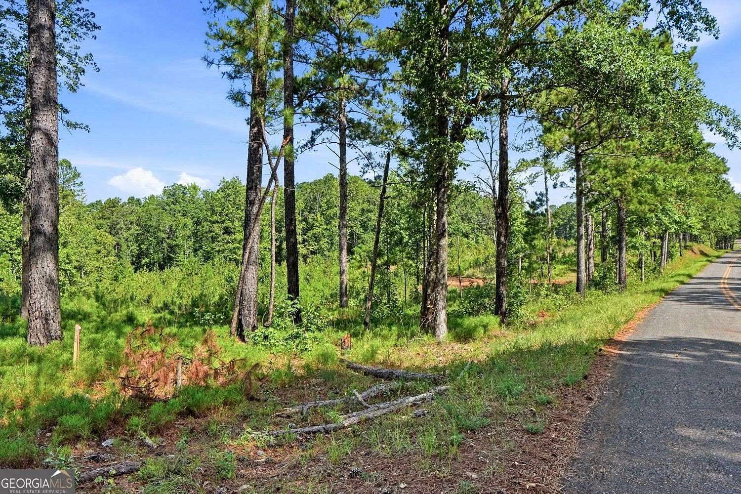 6 Acres of Residential Land for Sale in Forsyth, Georgia
