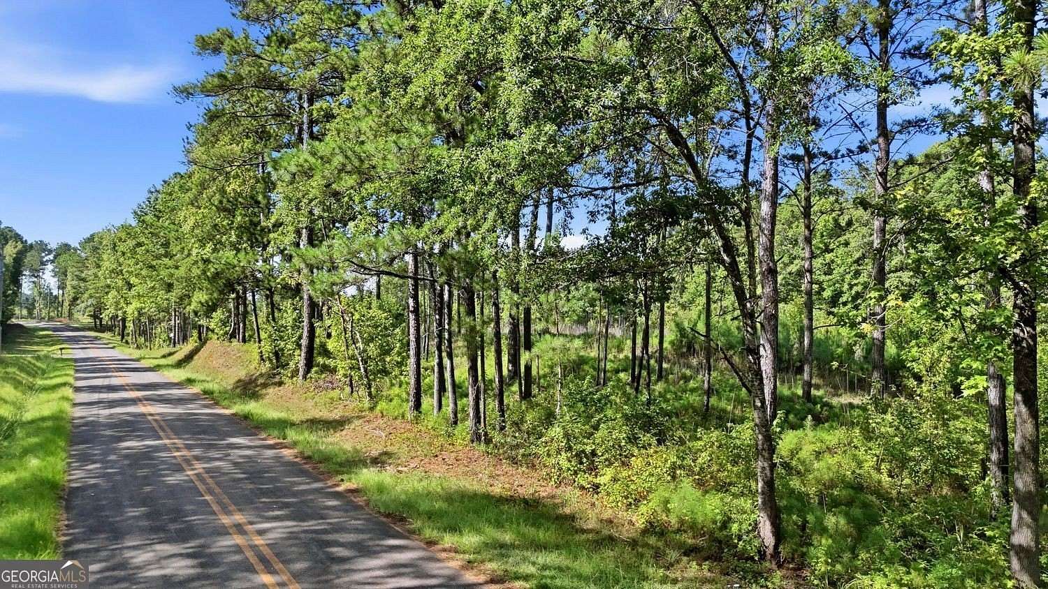7.42 Acres of Residential Land for Sale in Forsyth, Georgia