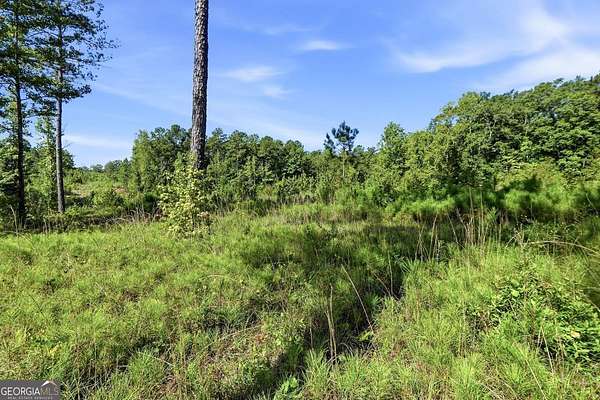5 Acres of Residential Land for Sale in Forsyth, Georgia