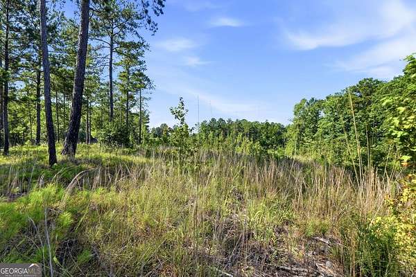 5 Acres of Residential Land for Sale in Forsyth, Georgia