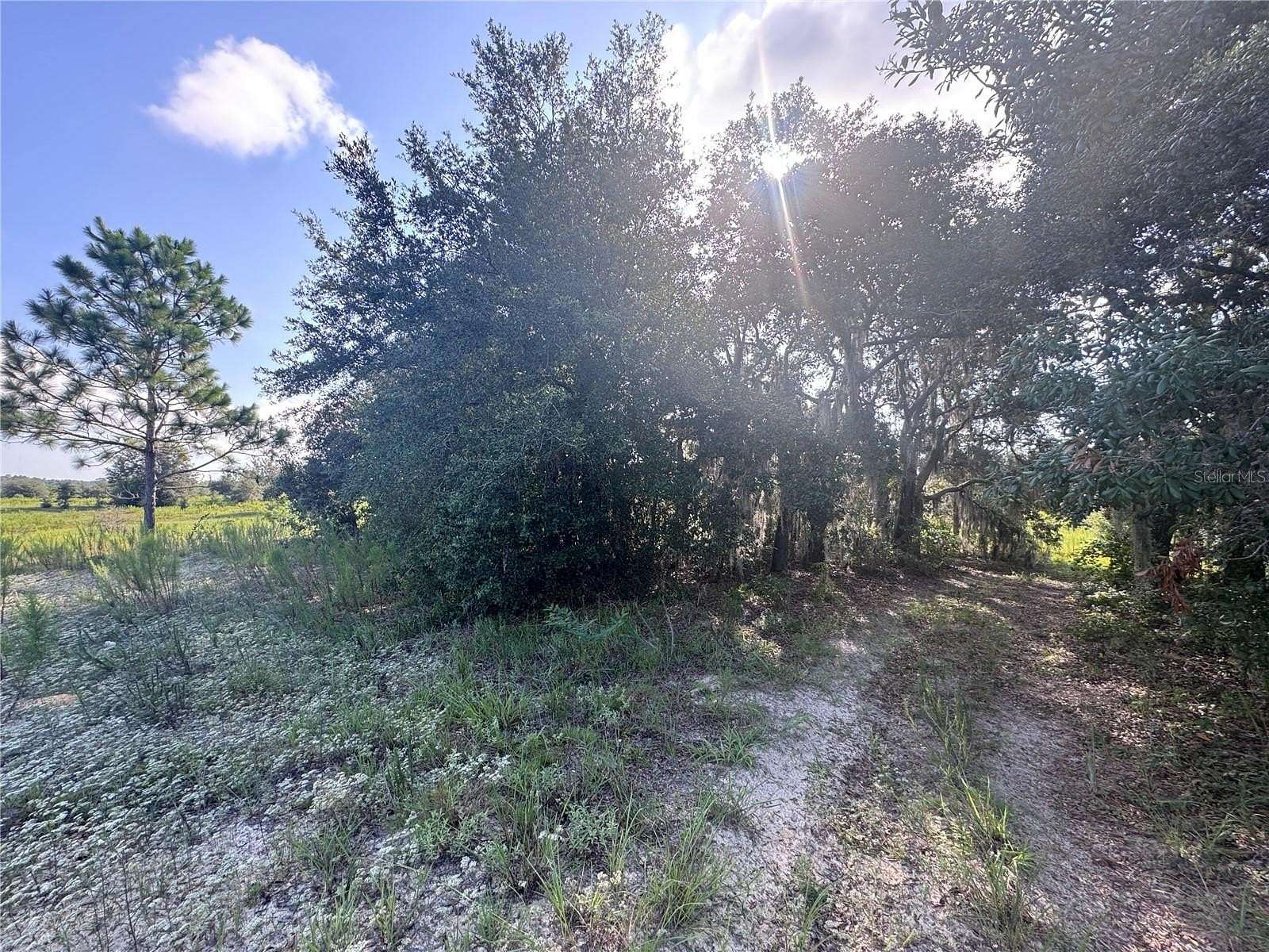 0.26 Acres of Residential Land for Sale in Inverness, Florida
