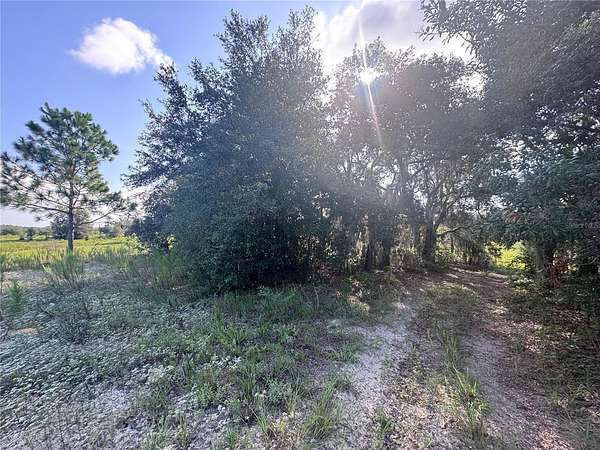 0.26 Acres of Residential Land for Sale in Inverness, Florida