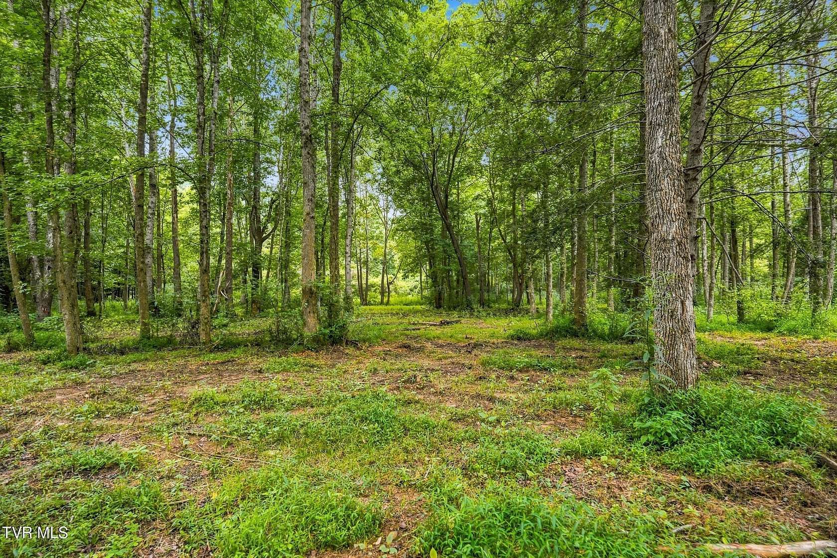 21.6 Acres of Recreational & Residential Land for Sale in Erwin, Tennessee
