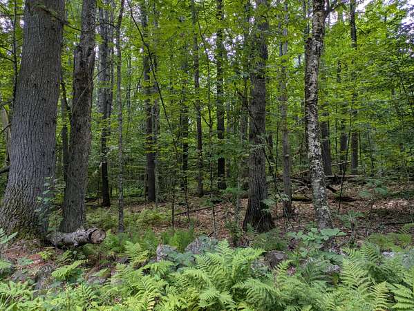 0.49 Acres of Residential Land for Sale in Limerick, Maine