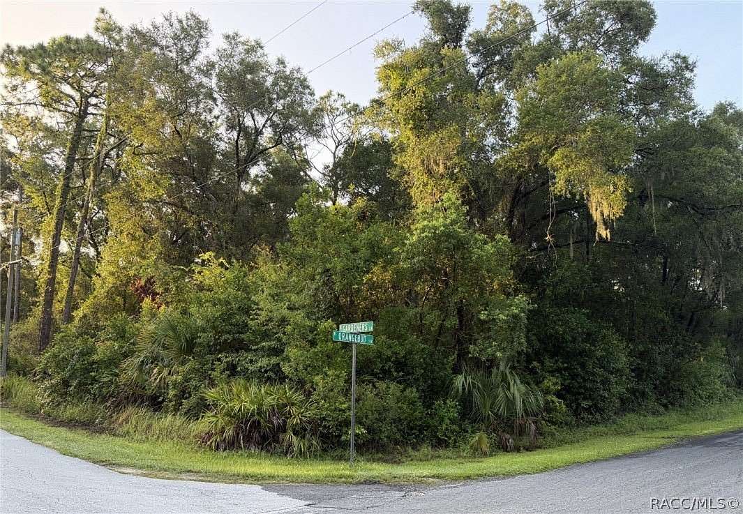 0.44 Acres of Land for Sale in Crystal River, Florida
