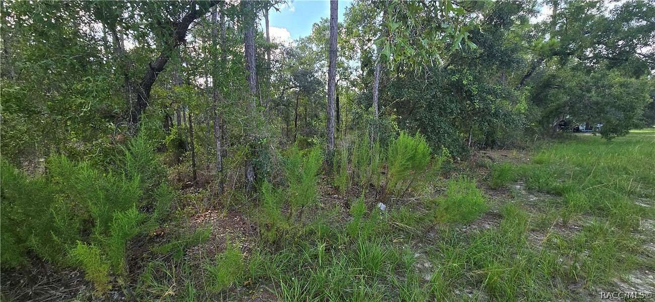 0.46 Acres of Residential Land for Sale in Weeki Wachee, Florida