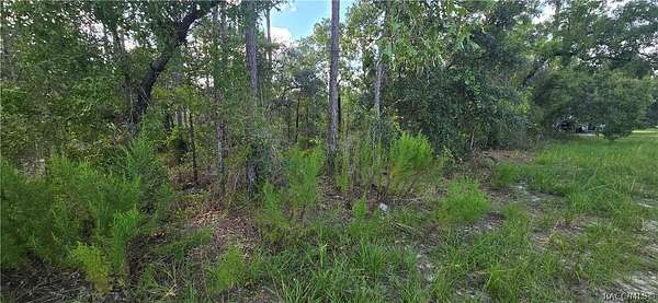 0.46 Acres of Residential Land for Sale in Weeki Wachee, Florida