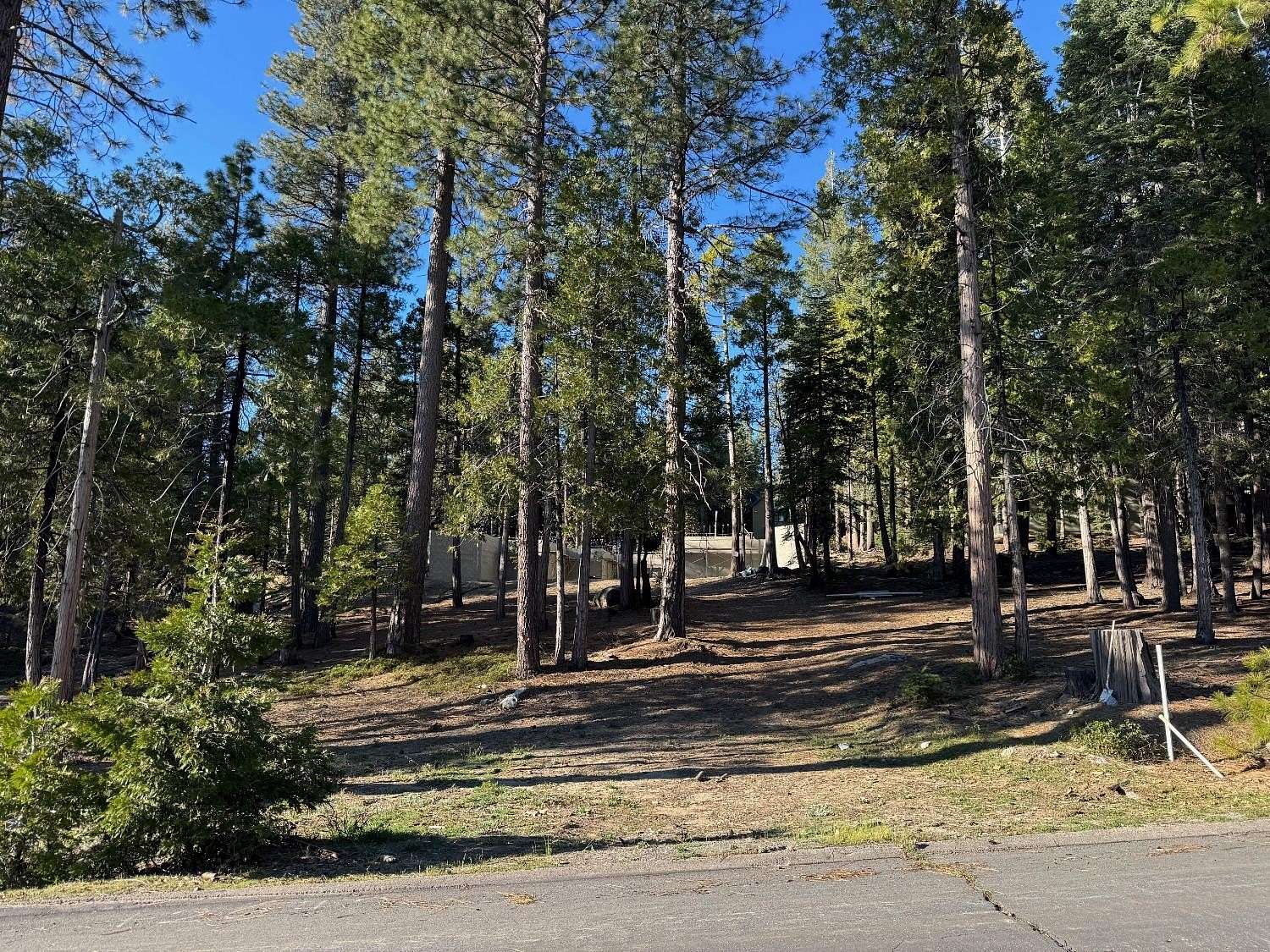 0.5 Acres of Residential Land for Sale in Shaver Lake, California
