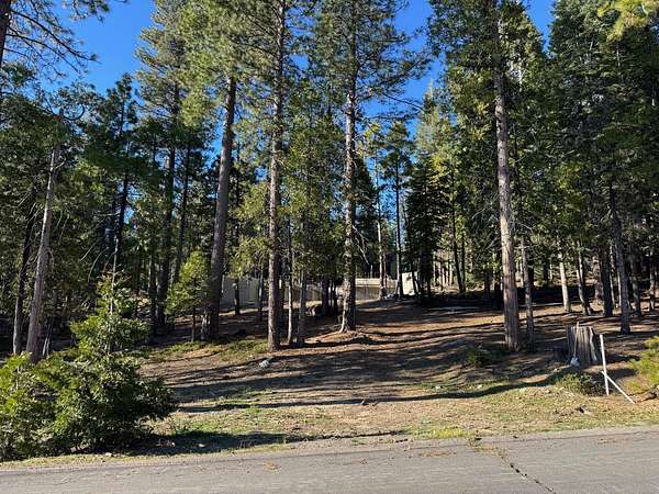 0.5 Acres of Residential Land for Sale in Shaver Lake, California