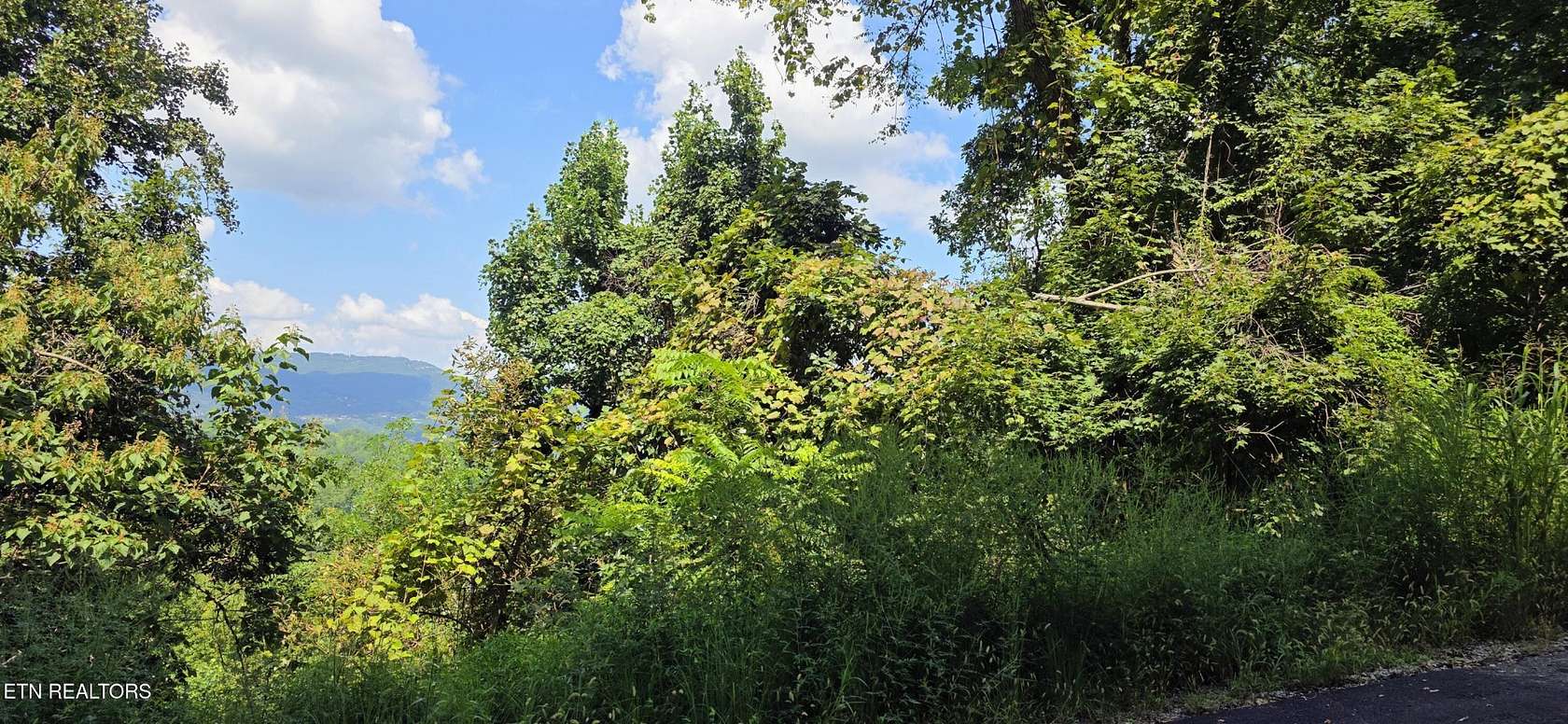 1.25 Acres of Residential Land for Sale in Sevierville, Tennessee