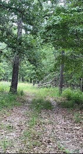 23 Acres of Improved Land for Sale in Rogers, Arkansas