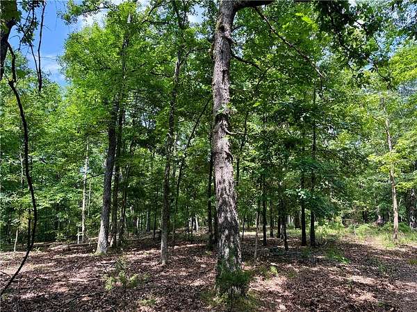 23 Acres of Improved Land for Sale in Rogers, Arkansas
