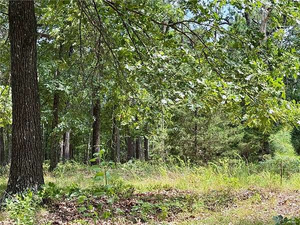 23 Acres of Improved Land for Sale in Rogers, Arkansas