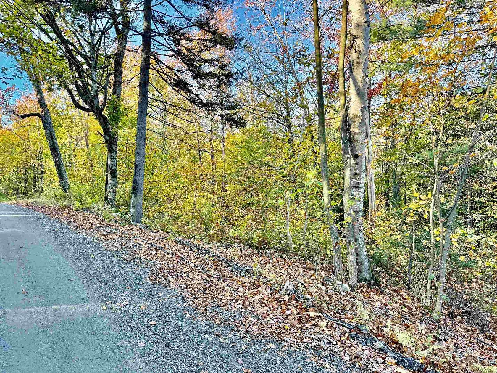 54.8 Acres of Recreational & Residential Land for Sale in Wardsboro, Vermont