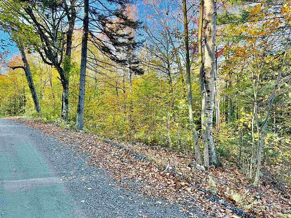54.8 Acres of Recreational & Residential Land for Sale in Wardsboro, Vermont