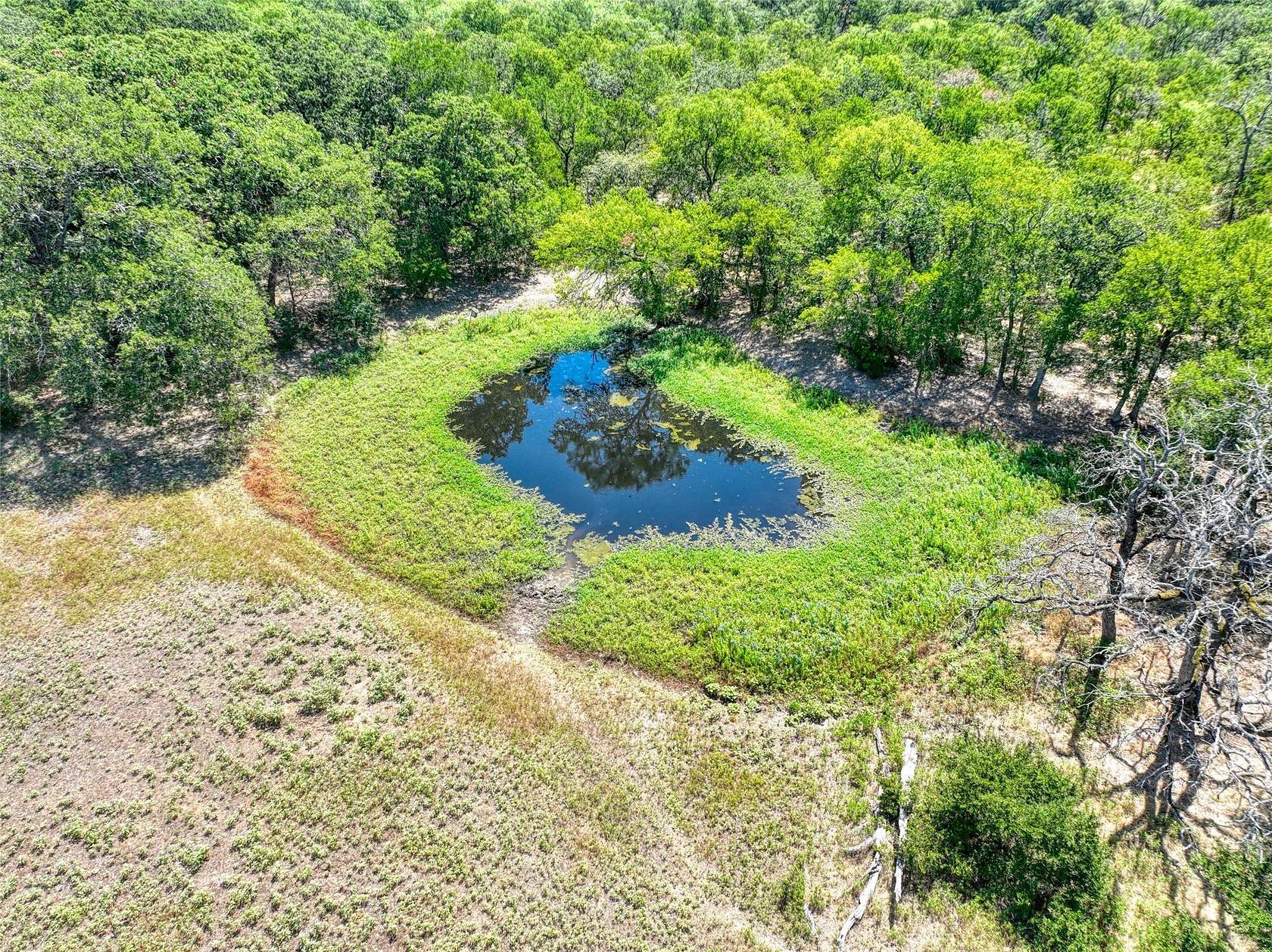 10.4 Acres of Land for Sale in Chatfield, Texas