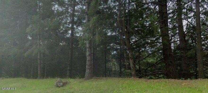 0.36 Acres of Residential Land for Sale in Whitethorn, California