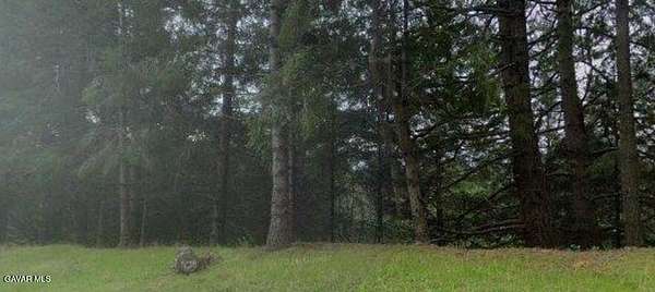0.36 Acres of Residential Land for Sale in Whitethorn, California