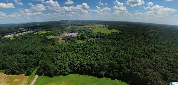 30 Acres of Recreational & Residential Land for Sale in Toney, Alabama