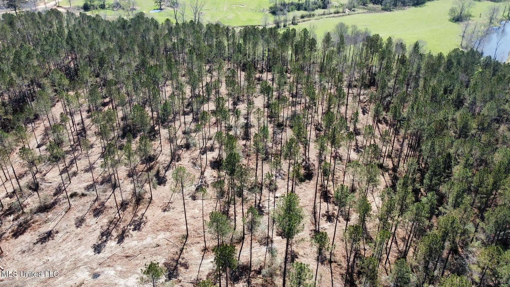 99 Acres of Recreational & Residential Land for Sale in New Hebron, Mississippi
