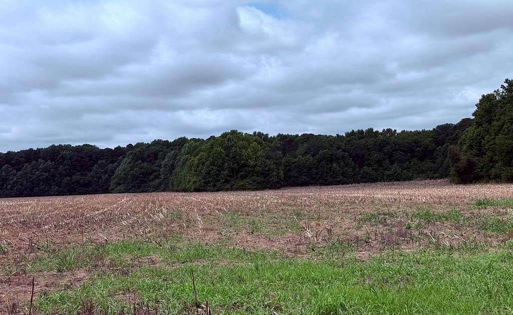 59 Acres of Land for Sale in Bloxom, Virginia