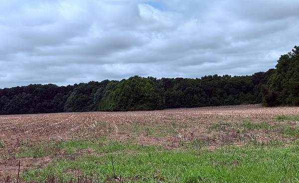 59 Acres of Land for Sale in Bloxom, Virginia