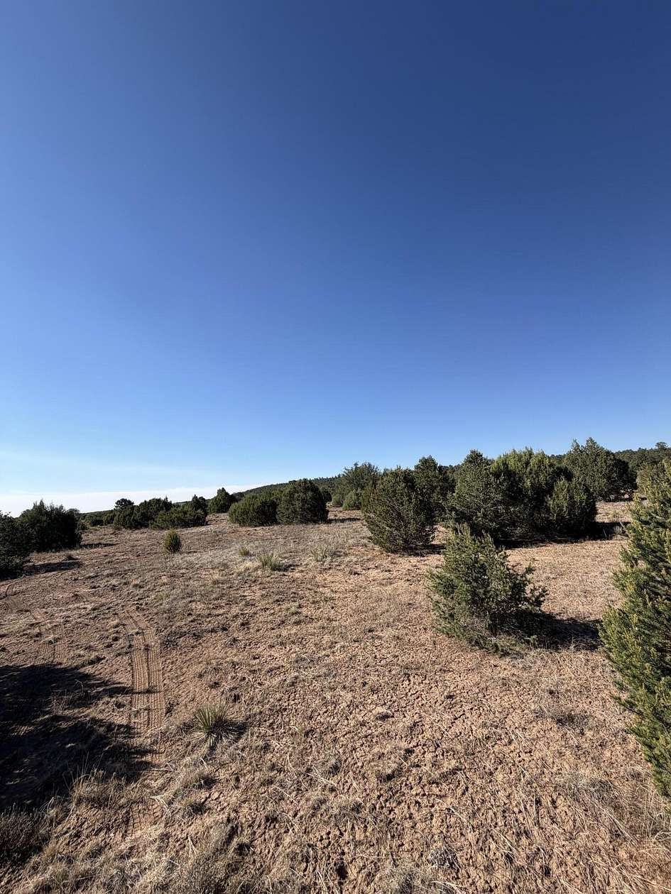 11 Acres of Land for Sale in Tijeras, New Mexico