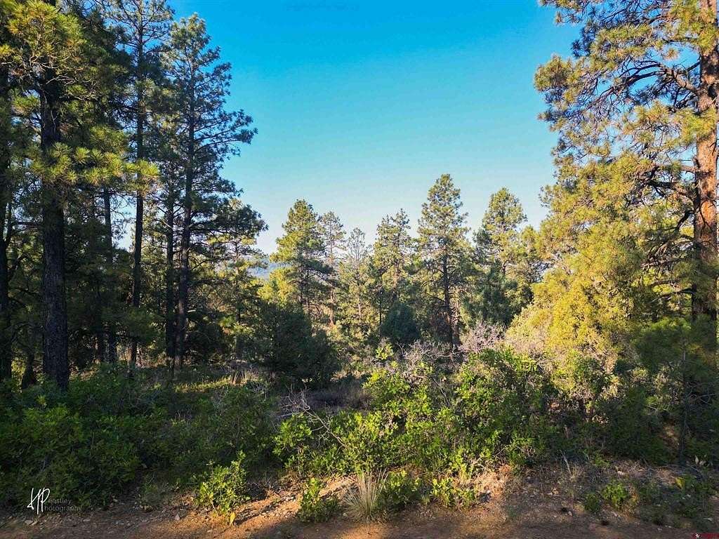 1 Acre of Land for Sale in Pagosa Springs, Colorado