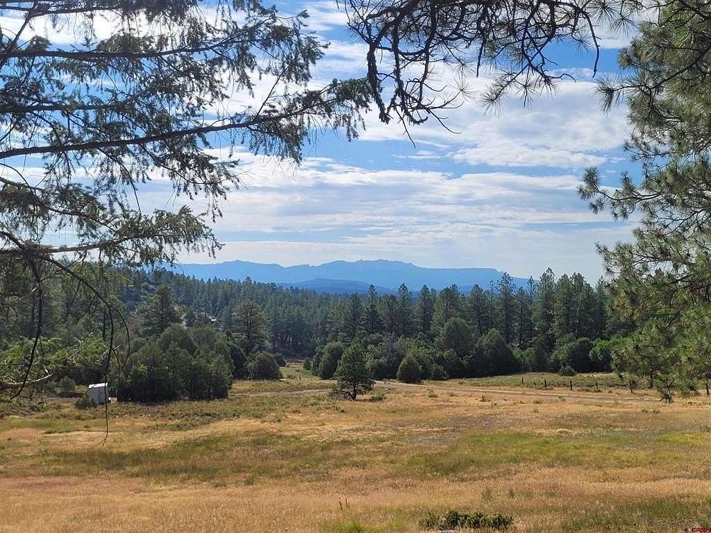 5 Acres of Residential Land for Sale in Pagosa Springs, Colorado
