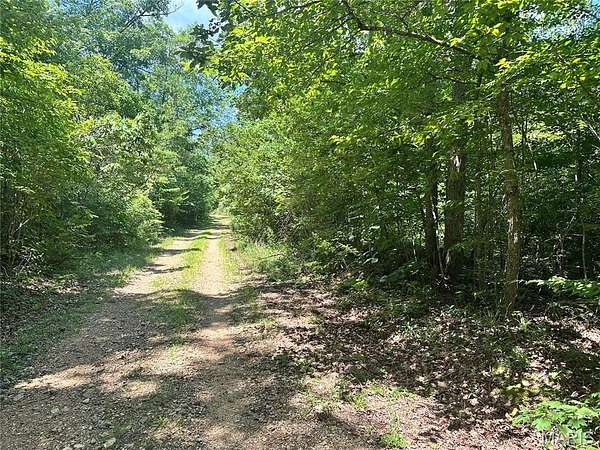 7.35 Acres of Recreational Land for Sale in Annapolis, Missouri
