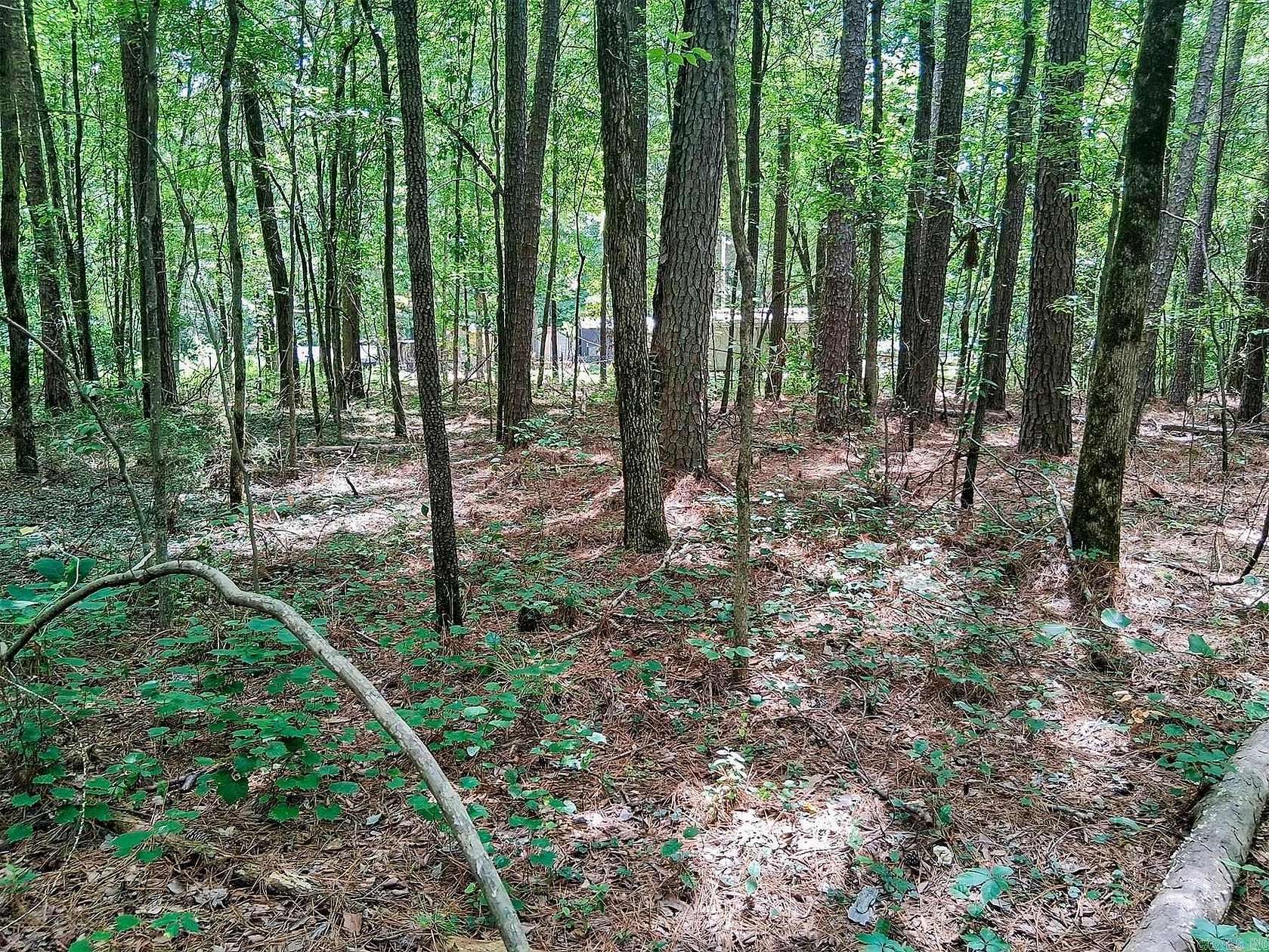 2 Acres of Residential Land for Sale in Hensley, Arkansas