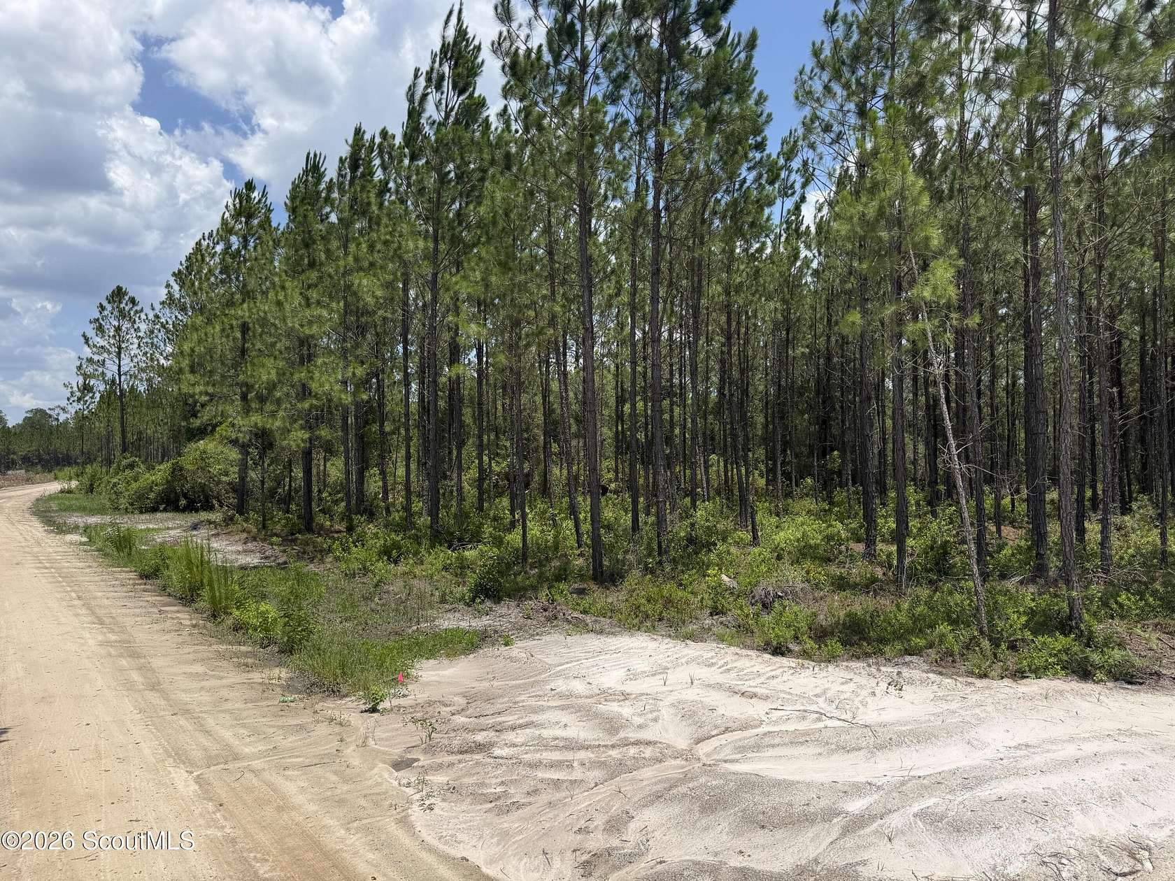 7.43 Acres of Land for Sale in Manor, Georgia