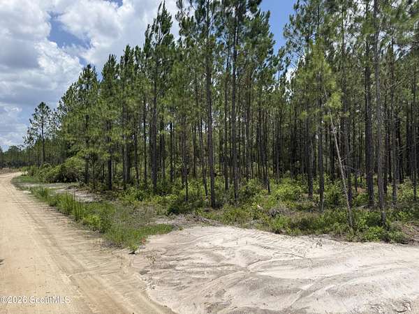 7.43 Acres of Land for Sale in Manor, Georgia
