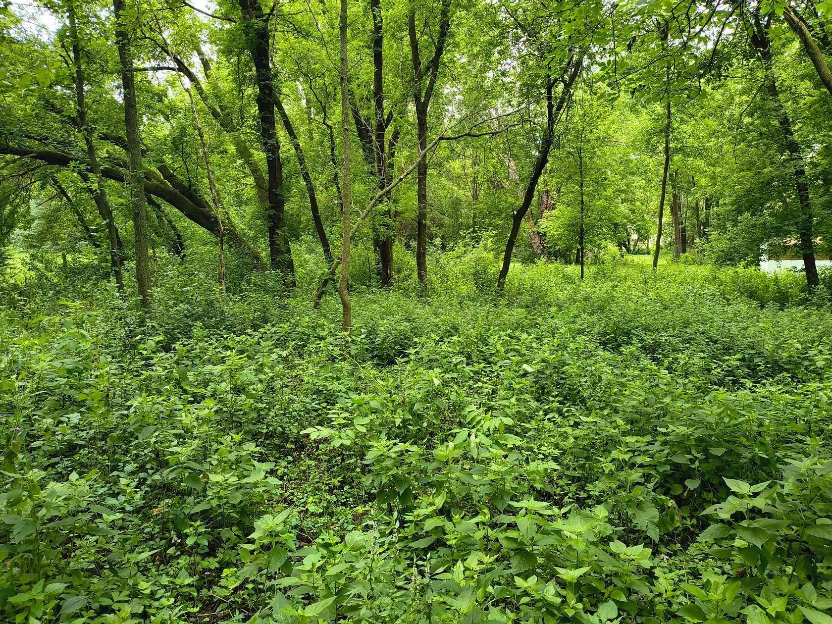0.44 Acres of Land for Sale in Glenwood, Minnesota