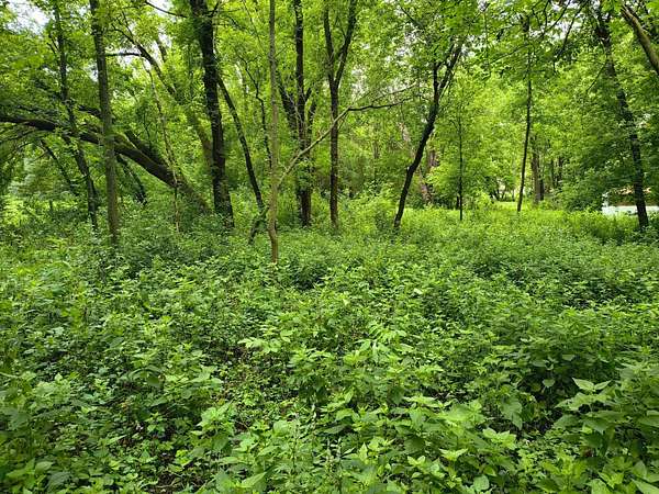 0.44 Acres of Land for Sale in Glenwood, Minnesota