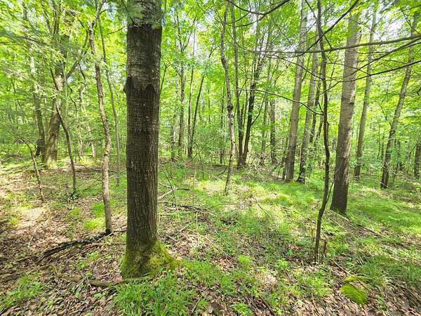 12.3 Acres of Recreational & Residential Land for Sale in Phillips, Wisconsin
