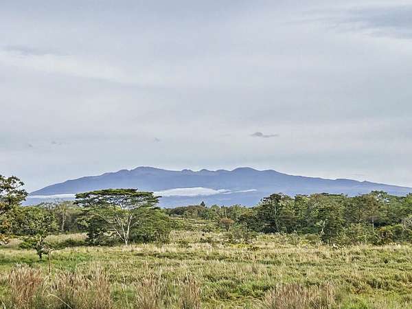 21.6 Acres of Agricultural & Residential Land for Sale in Kurtistown, Hawaii