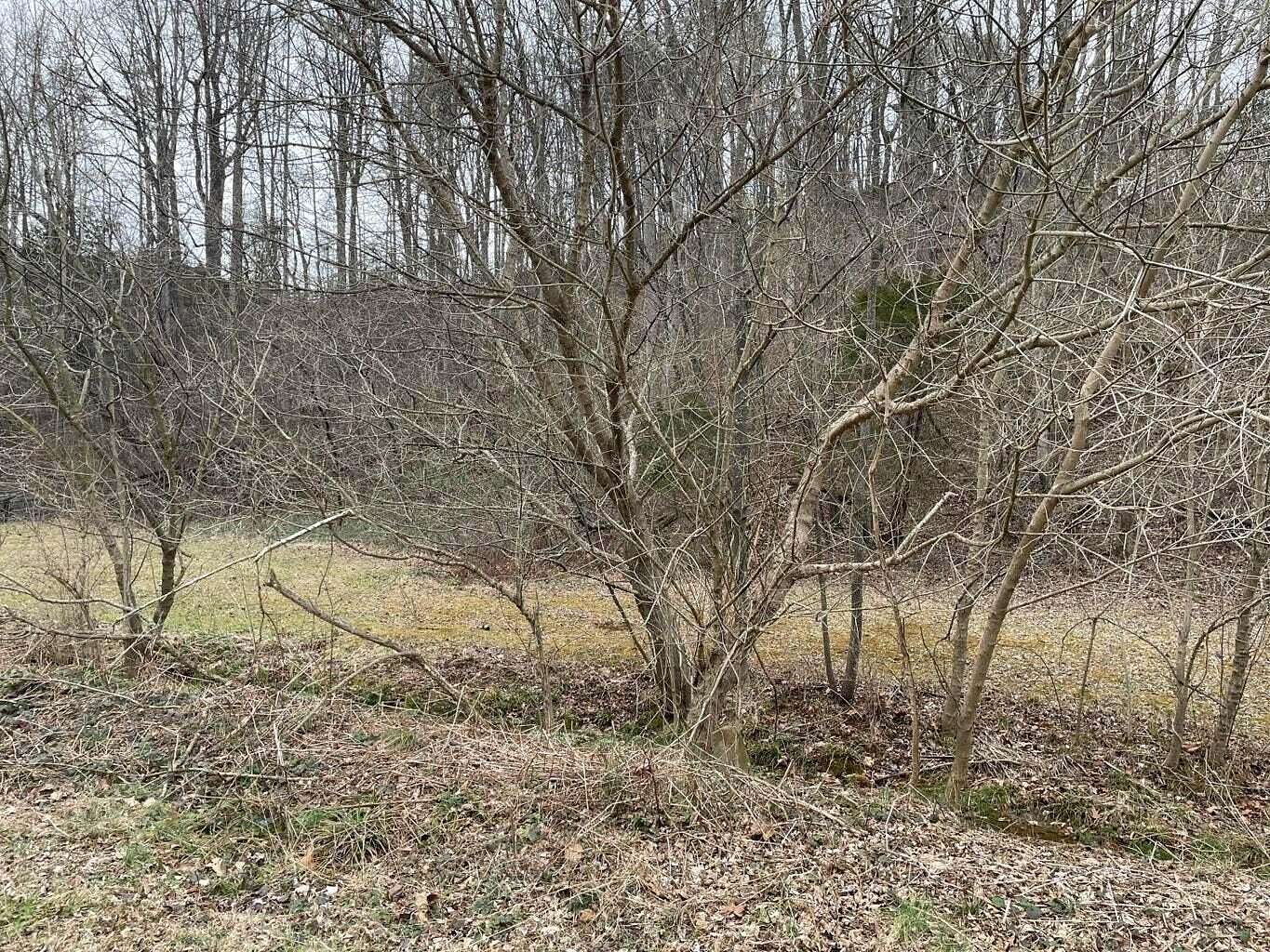 3 Acres of Land for Sale in Troutville, Virginia