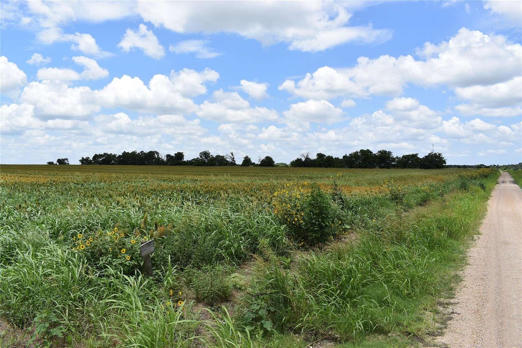 49.7 Acres of Land for Sale in Buckholts, Texas