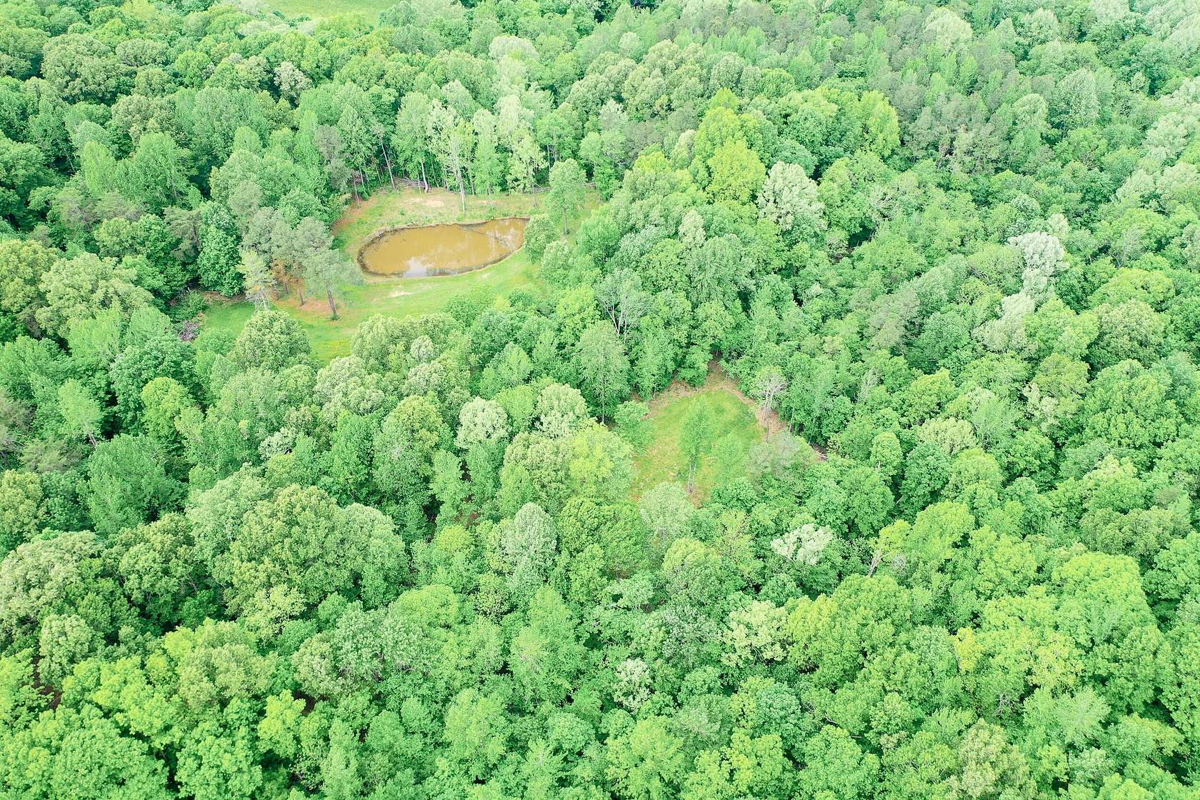 29.5 Acres of Recreational Land for Sale in Princeton, Kentucky